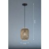 Fischer & Honsel HUMMEL Pendant Light black, 1-light source