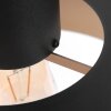 Steinhauer FLINTER Pendant Light black, 1-light source
