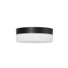Steinhauer IKARO Ceiling Light LED black, 1-light source