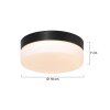 Steinhauer IKARO Ceiling Light LED black, 1-light source