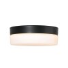 Steinhauer IKARO Ceiling Light LED black, 1-light source