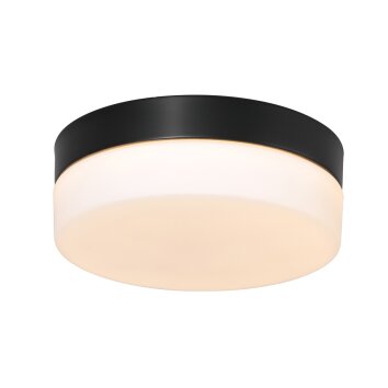 Steinhauer IKARO Ceiling Light LED black, 1-light source