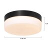 Steinhauer IKARO Ceiling Light LED black, 1-light source