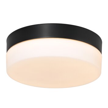 Steinhauer IKARO Ceiling Light LED black, 1-light source