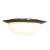 Steinhauer IKARO Ceiling Light LED black, 1-light source