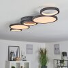 CARABAJAL Ceiling Light LED black, 1-light source