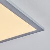 WILDERSWIL Ceiling Light LED white, 1-light source