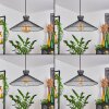 TAMINS Pendant Light black, 1-light source