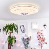 LINDERO Ceiling Light LED white, 2-light sources, Remote control, Colour changer