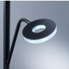 Fischer & Honsel DENT Floor Lamp LED black, 1-light source