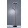 Fischer & Honsel DENT Floor Lamp LED black, 1-light source