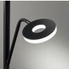 Fischer & Honsel DENT Floor Lamp LED black, 1-light source