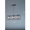 Fischer & Honsel REGI Pendant Light black, 3-light sources