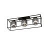 Fischer & Honsel REGI Ceiling Light black, 3-light sources