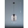 Fischer & Honsel REGI Pendant Light black, 1-light source