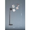 Fischer & Honsel ANNECY Floor Lamp black, 5-light sources