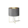 Fischer & Honsel AURA Table lamp gold, 1-light source