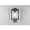 Trio LUNGA Outdoor Wall Light anthracite, 1-light source