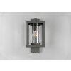 Trio LUNGA Outdoor Wall Light anthracite, 1-light source