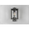 Trio LUNGA Outdoor Wall Light anthracite, 1-light source, Motion sensor