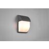 Trio MERSEY Outdoor Wall Light anthracite, 2-light sources