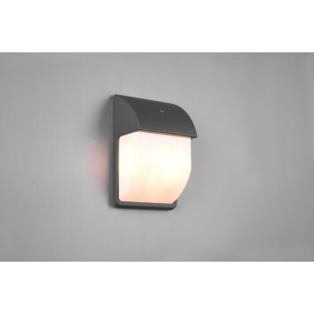 Trio MERSEY Outdoor Wall Light anthracite, 2-light sources