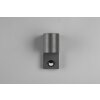 Trio ROYA Outdoor Wall Light anthracite, 1-light source, Motion sensor