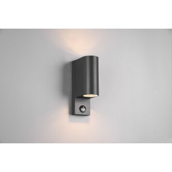 Trio ROYA Outdoor Wall Light anthracite, 2-light sources, Motion sensor