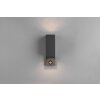 Trio ROYA Outdoor Wall Light anthracite, 2-light sources, Motion sensor