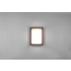 Trio WITHAM Outdoor Wall Light LED anthracite, 1-light source