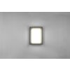 Trio WITHAM Outdoor Wall Light LED anthracite, 1-light source