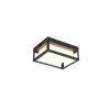 Trio WITHAM Outdoor Wall Light LED anthracite, 1-light source