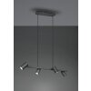 Trio MARLEY Pendant Light black, 4-light sources