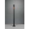 Trio ROYA path light anthracite, 1-light source, Motion sensor