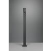 Trio ROYA path light anthracite, 1-light source, Motion sensor