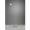 Trio FRANKLIN Floor Lamp LED brass, 1-light source