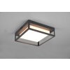 Trio WITHAM Ceiling Light LED anthracite, 1-light source