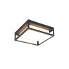 Trio WITHAM Ceiling Light LED anthracite, 1-light source