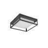 Trio WITHAM Ceiling Light LED anthracite, 1-light source