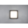 Trio WITHAM Ceiling Light LED anthracite, 1-light source