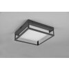 Trio WITHAM Ceiling Light LED anthracite, 1-light source