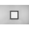 Trio WITHAM Ceiling Light LED anthracite, 1-light source
