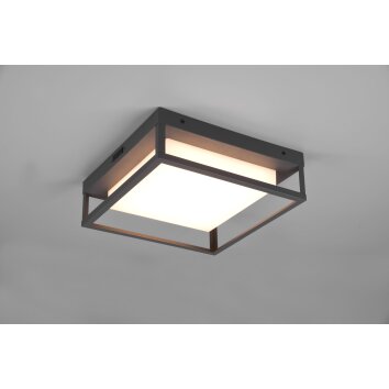 Trio WITHAM Ceiling Light LED anthracite, 1-light source
