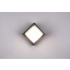 Reality PUNO Outdoor Wall Light LED black, 1-light source