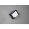 Reality PUNO Outdoor Wall Light LED black, 1-light source
