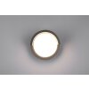 Reality PUNO Outdoor Wall Light LED black, 1-light source