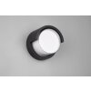 Reality PUNO Outdoor Wall Light LED black, 1-light source