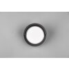 Reality PUNO Outdoor Wall Light LED black, 1-light source