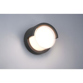 Reality PUNO Outdoor Wall Light LED black, 1-light source