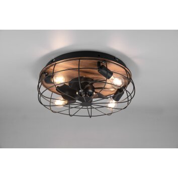 Reality TRONDHEIM ceiling fan Wood like finish, black, 4-light sources, Remote control